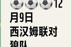 西汉姆联客场取胜，实现反弹的简单介绍